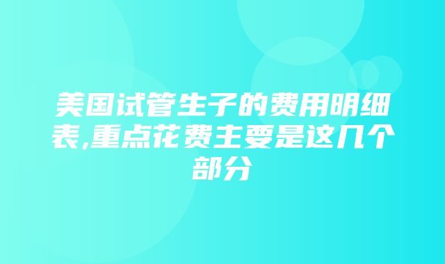 美国试管生子的费用明细表,重点花费主要是这几个部分