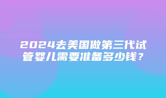 2024去美国做第三代试管婴儿需要准备多少钱？