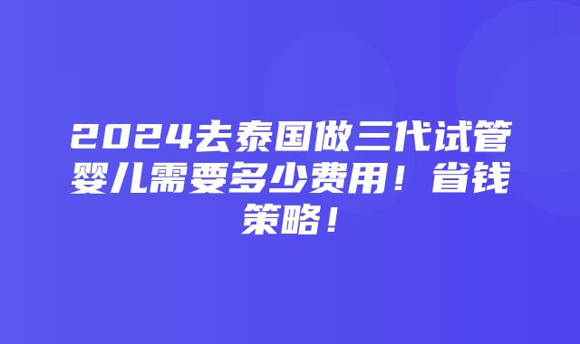 2024去泰国做三代试管婴儿需要多少费用！省钱策略！