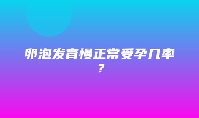 卵泡发育慢正常受孕几率？