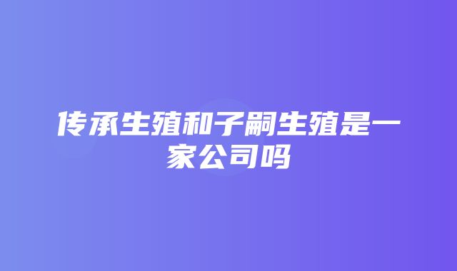 传承生殖和子嗣生殖是一家公司吗