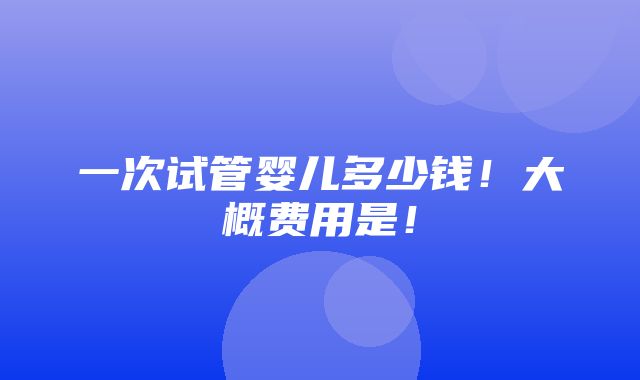 一次试管婴儿多少钱！大概费用是！