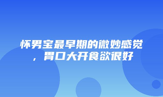 怀男宝最早期的微妙感觉，胃口大开食欲很好