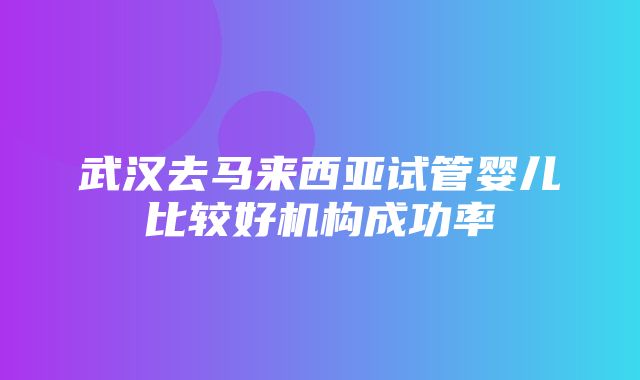 武汉去马来西亚试管婴儿比较好机构成功率