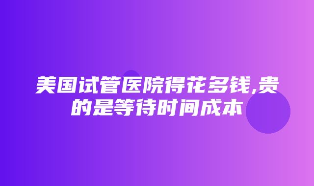 美国试管医院得花多钱,贵的是等待时间成本