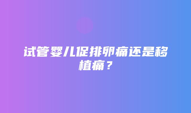 试管婴儿促排卵痛还是移植痛？