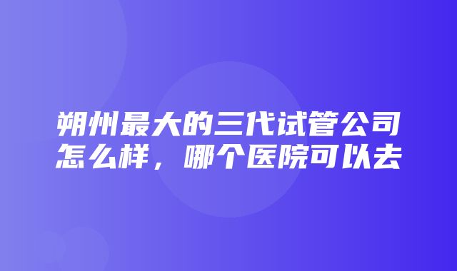 朔州最大的三代试管公司怎么样，哪个医院可以去