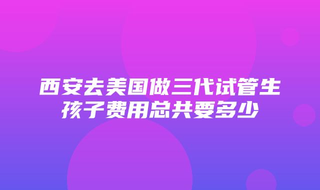 西安去美国做三代试管生孩子费用总共要多少