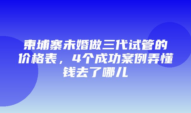 柬埔寨未婚做三代试管的价格表，4个成功案例弄懂钱去了哪儿