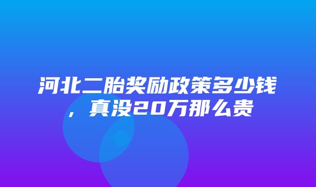 河北二胎奖励政策多少钱，真没20万那么贵