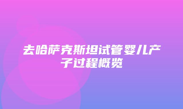 去哈萨克斯坦试管婴儿产子过程概览