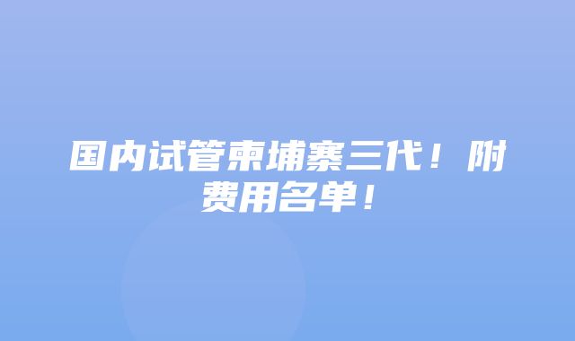 国内试管柬埔寨三代！附费用名单！