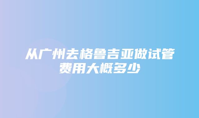 从广州去格鲁吉亚做试管费用大概多少