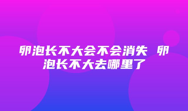 卵泡长不大会不会消失 卵泡长不大去哪里了