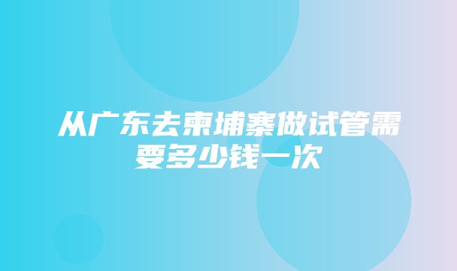 从广东去柬埔寨做试管需要多少钱一次