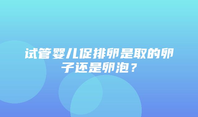 试管婴儿促排卵是取的卵子还是卵泡？