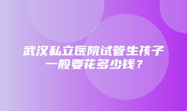 武汉私立医院试管生孩子一般要花多少钱？