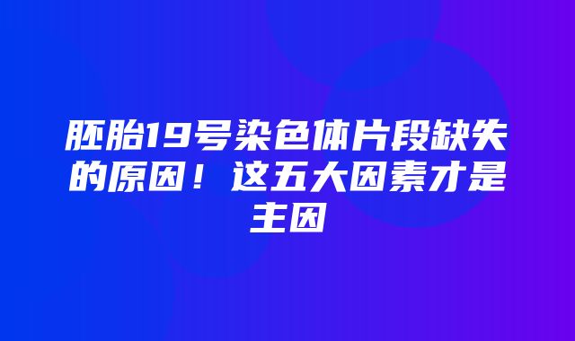 胚胎19号染色体片段缺失的原因！这五大因素才是主因