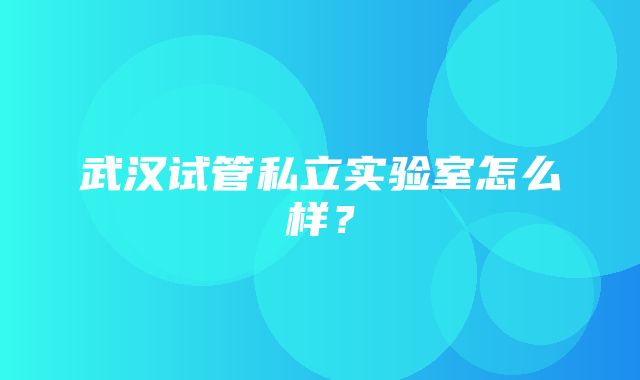 武汉试管私立实验室怎么样？