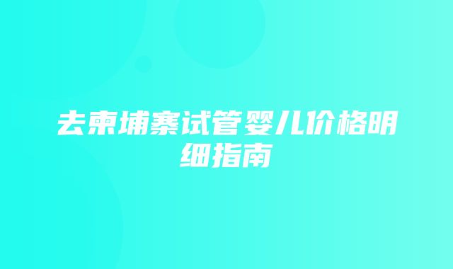 去柬埔寨试管婴儿价格明细指南