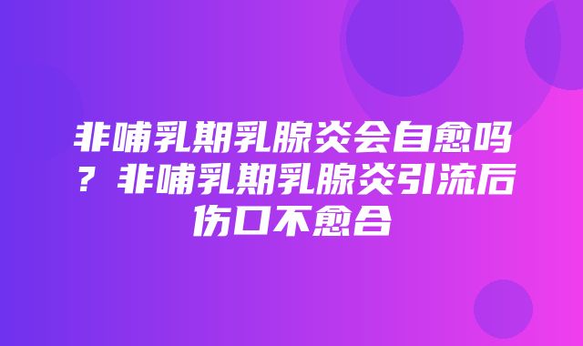 非哺乳期乳腺炎会自愈吗？非哺乳期乳腺炎引流后伤口不愈合