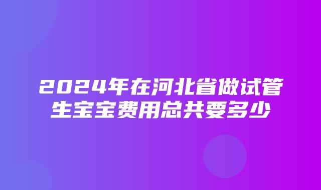 2024年在河北省做试管生宝宝费用总共要多少