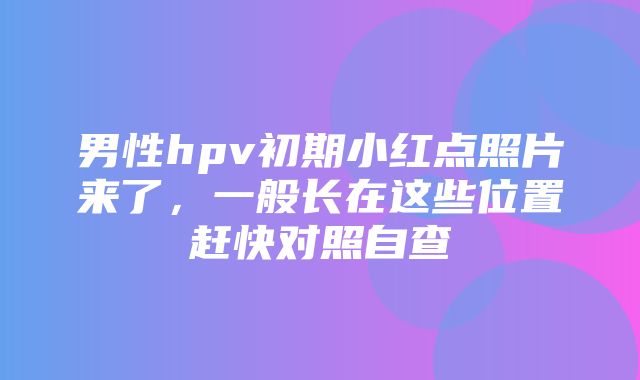 男性hpv初期小红点照片来了，一般长在这些位置赶快对照自查