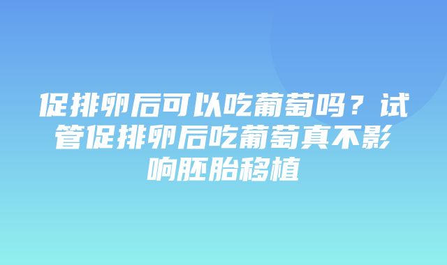 促排卵后可以吃葡萄吗？试管促排卵后吃葡萄真不影响胚胎移植