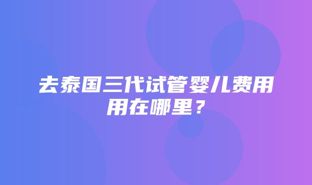 去泰国三代试管婴儿费用用在哪里？