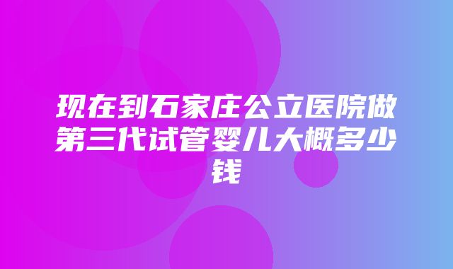 现在到石家庄公立医院做第三代试管婴儿大概多少钱