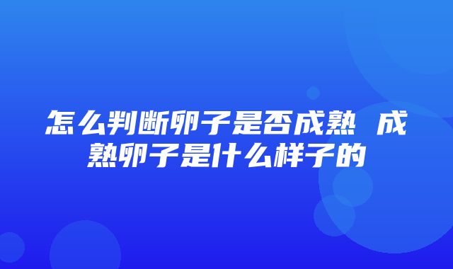 怎么判断卵子是否成熟 成熟卵子是什么样子的