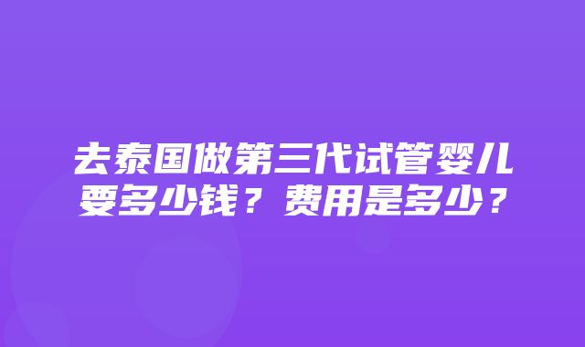 去泰国做第三代试管婴儿要多少钱？费用是多少？