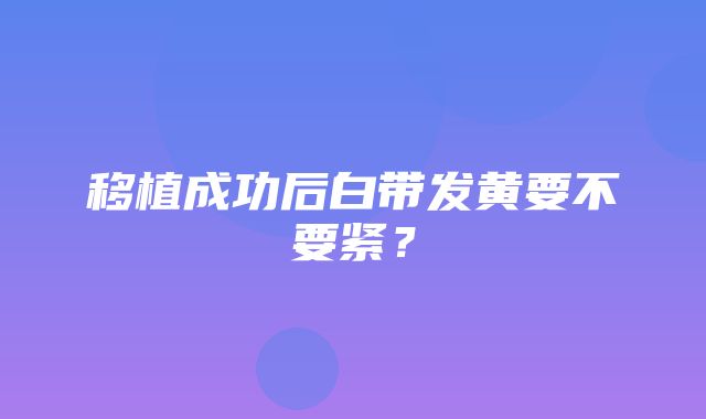 移植成功后白带发黄要不要紧？