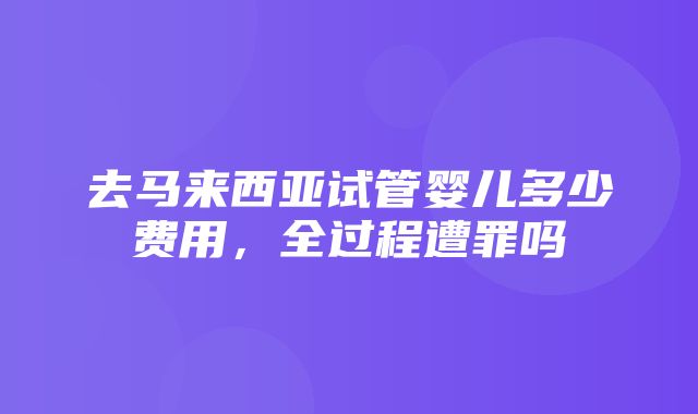 去马来西亚试管婴儿多少费用，全过程遭罪吗