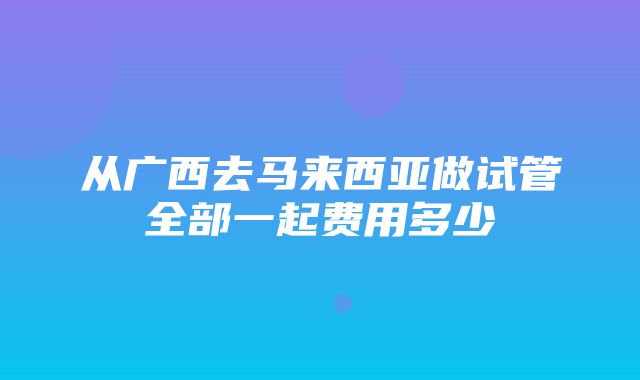 从广西去马来西亚做试管全部一起费用多少