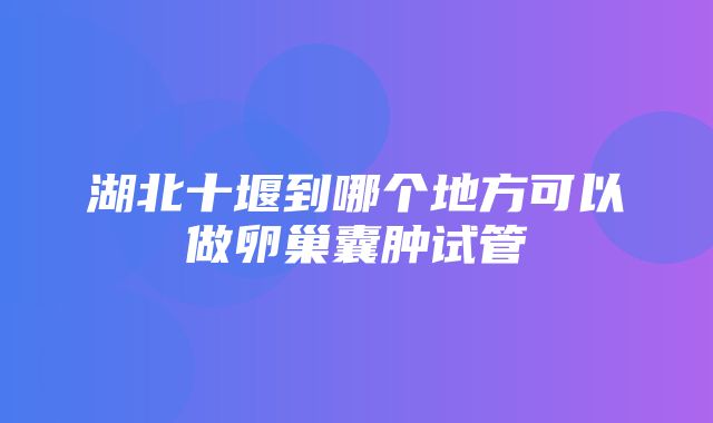 湖北十堰到哪个地方可以做卵巢囊肿试管