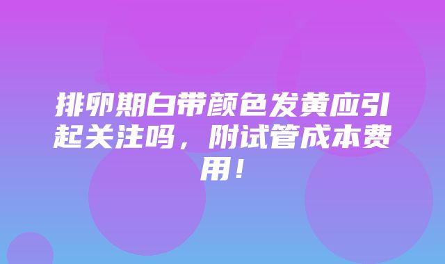 排卵期白带颜色发黄应引起关注吗，附试管成本费用！