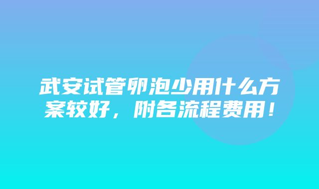 武安试管卵泡少用什么方案较好，附各流程费用！