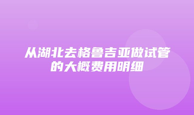 从湖北去格鲁吉亚做试管的大概费用明细