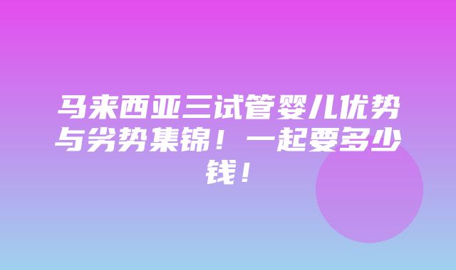 马来西亚三试管婴儿优势与劣势集锦！一起要多少钱！