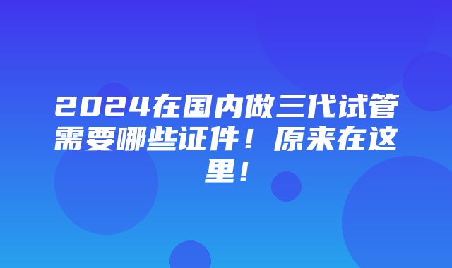 2024在国内做三代试管需要哪些证件！原来在这里！