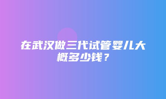 在武汉做三代试管婴儿大概多少钱？