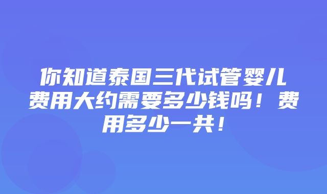 你知道泰国三代试管婴儿费用大约需要多少钱吗！费用多少一共！