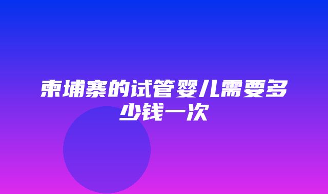 柬埔寨的试管婴儿需要多少钱一次