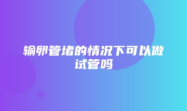 输卵管堵的情况下可以做试管吗