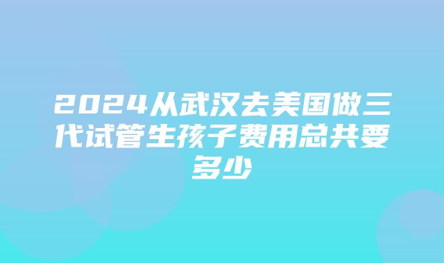 2024从武汉去美国做三代试管生孩子费用总共要多少