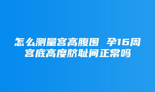 怎么测量宫高腹围 孕16周宫底高度脐耻间正常吗