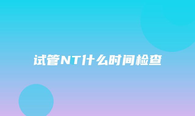 试管NT什么时间检查