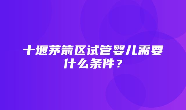 十堰茅箭区试管婴儿需要什么条件？