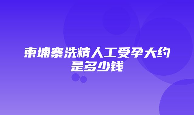 柬埔寨洗精人工受孕大约是多少钱